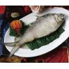 江苏扬子江大酒店有限公司 鲥鱼