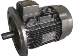 江苏上骐集团 三相异步电机