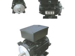 江苏上骐集团 YTP系列单相电容运转异步电动机