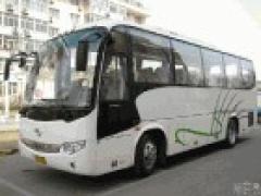 靖江飞羚运业有限公司 靖江飞羚运业（弘宇公共交通客运）-提供公共交通客运