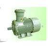 系列隔爆型三相异步电动机