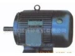 江苏环球特种电机有限公司   江苏环球特种电机公司－提供Y系列三相异步电动机