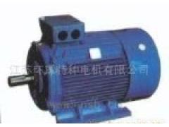 江苏环球特种电机有限公司   江苏环球特种电机公司－提供Y2系列三相异步电动机