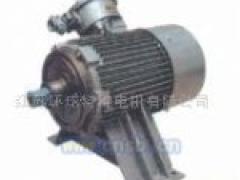 江苏环球特种电机有限公司   环球公司－YBS系列煤矿输送机用隔爆型三相异步电动机