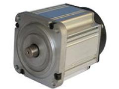 江苏上骐集团 江苏上骐集团- 供应直驱式工业缝纫机用永磁伺服电机4