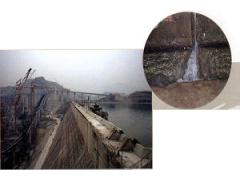 江苏神龙海洋工程有限公司  江苏神龙海洋工程-三峡RCC围堰水下裂缝处理工程样板