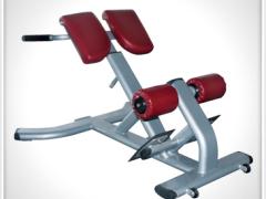 靖江市晓燕现代供应链有限公司 晓燕文化办公-提供罗马椅 豪华商用力量训练器材