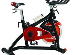 靖江市晓燕现代供应链有限公司 晓燕文化办公-提供朗斯柏SP92002动感单车