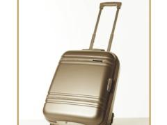 靖江市晓燕现代供应链有限公司 晓燕文化办公-提供巴天弩PFY0001商务款拉杆箱