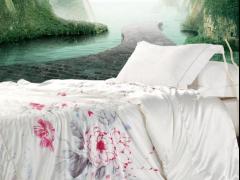 靖江市晓燕现代供应链有限公司 晓燕文化办公---提供金凯特中国风手绘蚕丝被 墨香盒影