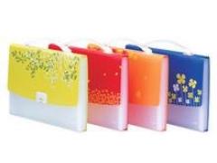 靖江市晓燕现代供应链有限公司 晓燕文化办公-提供金得利DC4000 春之韵手提风琴包