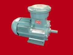 江苏环球特种电机有限公司   防爆电机－132整机