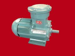 江苏环球特种电机有限公司   防爆电机－112整机