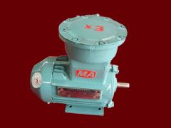 江苏环球特种电机有限公司   防爆电机－90整机