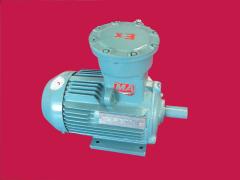 江苏环球特种电机有限公司   防爆电机－100整机