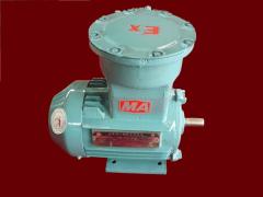 江苏环球特种电机有限公司   防爆电机－80整机