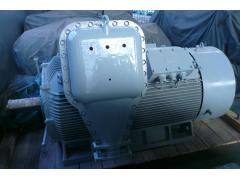 江苏环球特种电机有限公司   高压防暴电机