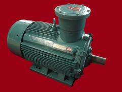 江苏环球特种电机有限公司   防爆电机－315整机
