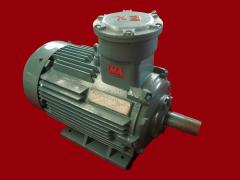 江苏环球特种电机有限公司   防爆电机－180整机