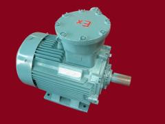 江苏环球特种电机有限公司   防爆电机－250整机