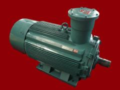 江苏环球特种电机有限公司   防爆电机－335整机
